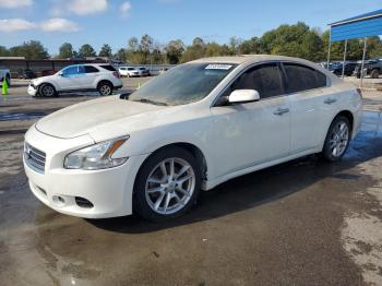  Salvage Nissan Maxima