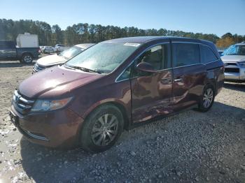  Salvage Honda Odyssey