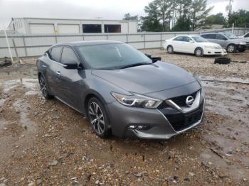  Salvage Nissan Maxima