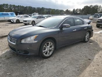  Salvage Nissan Maxima