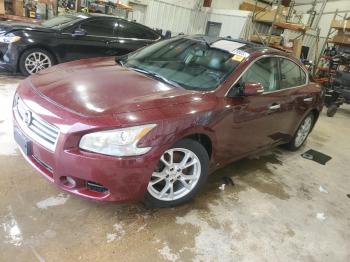  Salvage Nissan Maxima