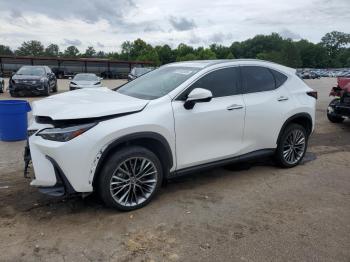  Salvage Lexus NX