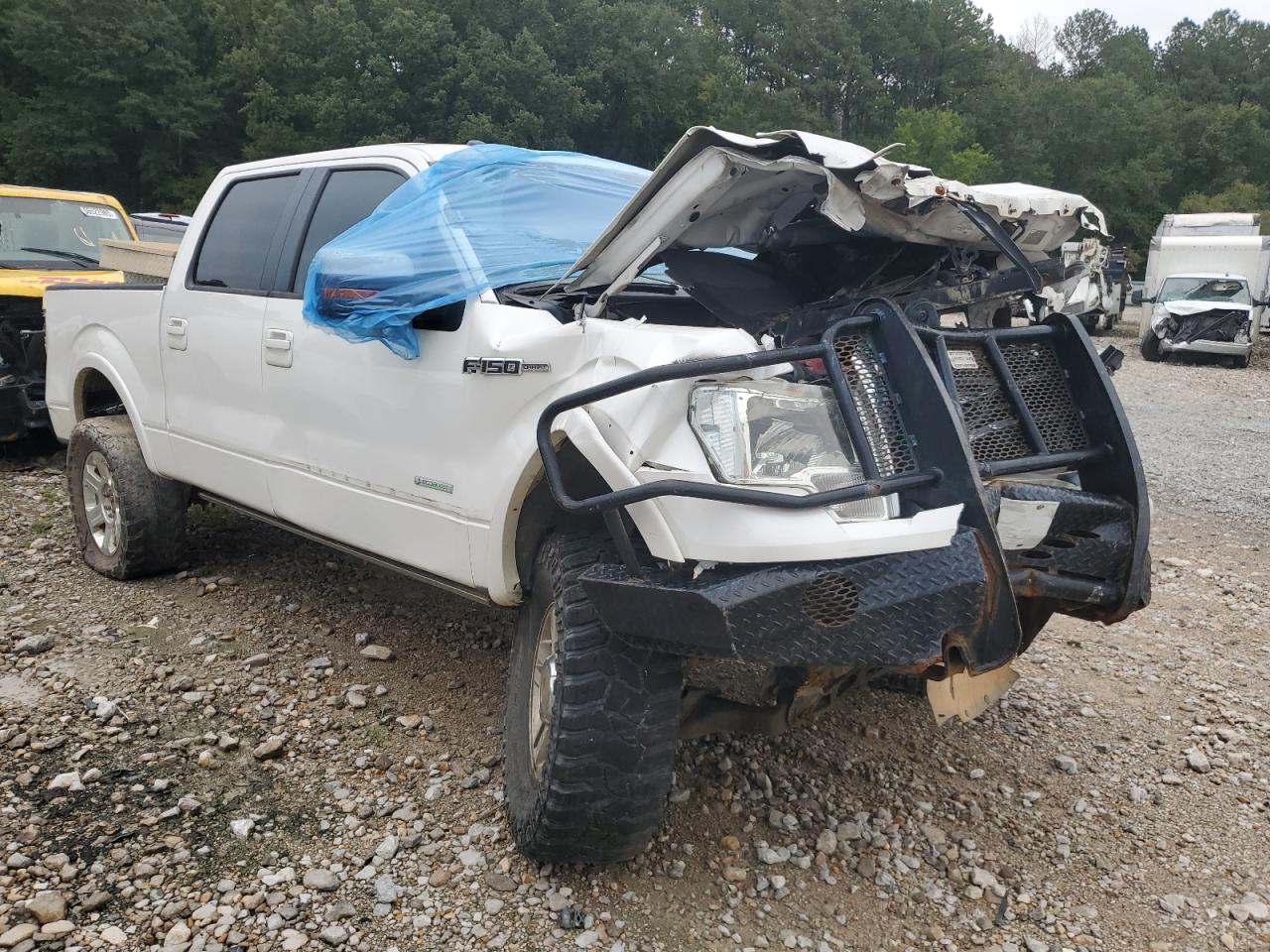 Ford F-150 Supercrew Image 12