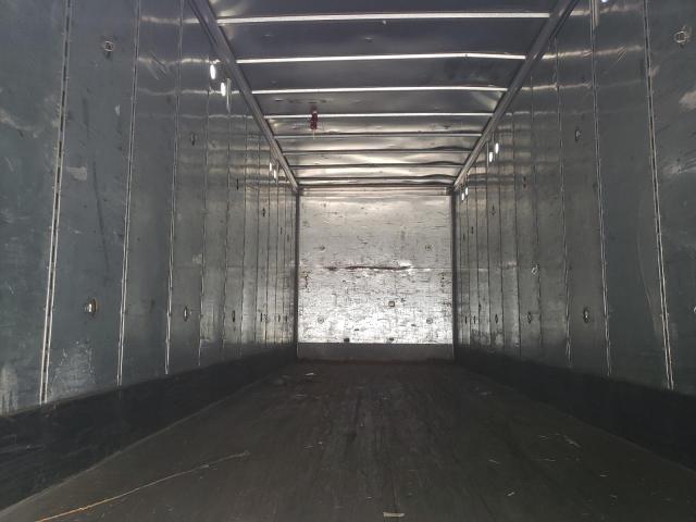 Great Dane Other Image 8