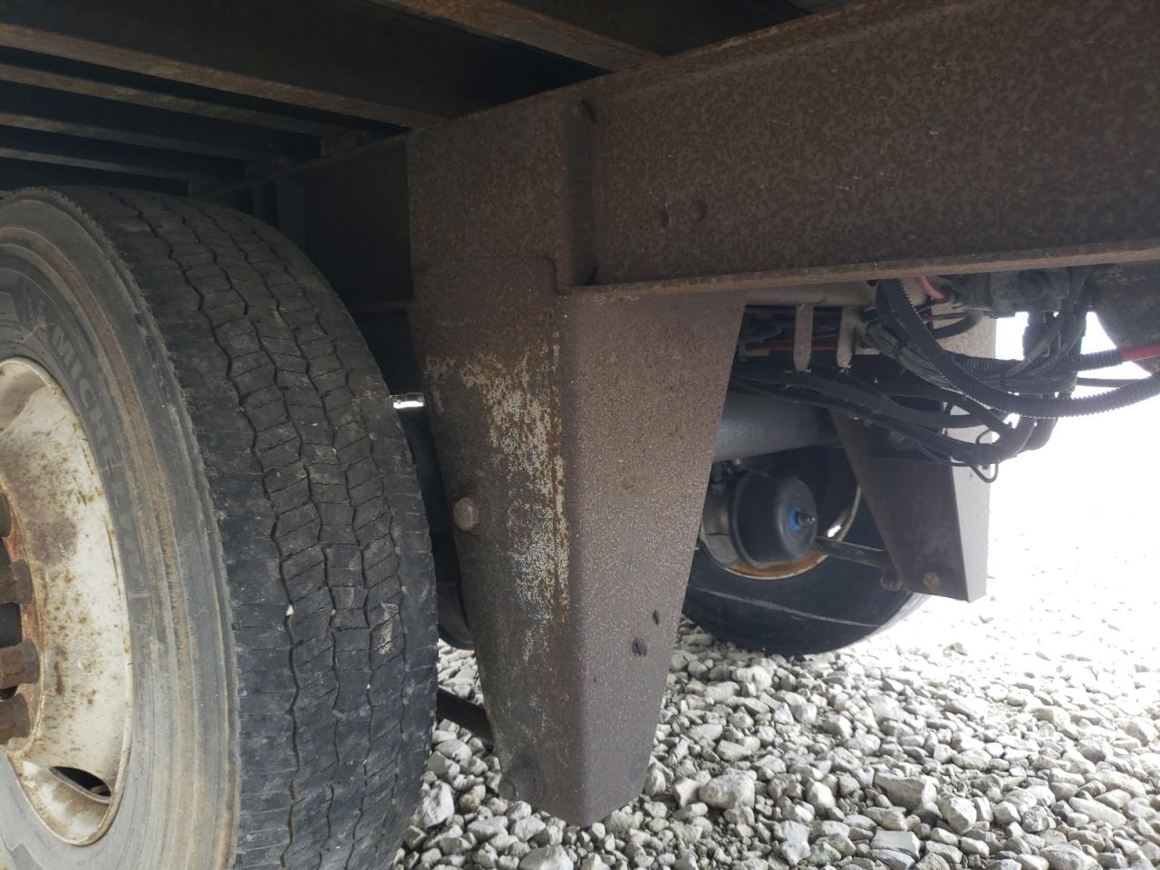 Great Dane Other Image 3