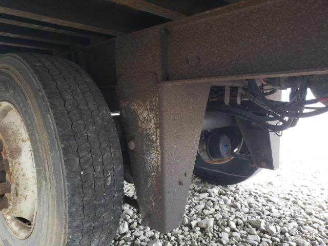 Great Dane Other Image 3