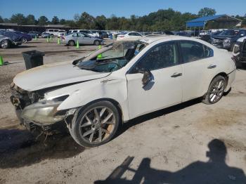  Salvage Nissan Maxima