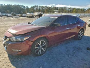  Salvage Nissan Maxima