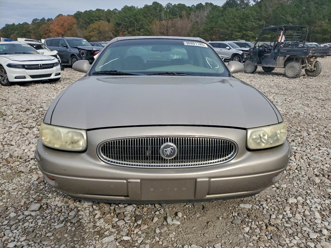 Buick LeSabre Custom Image 3