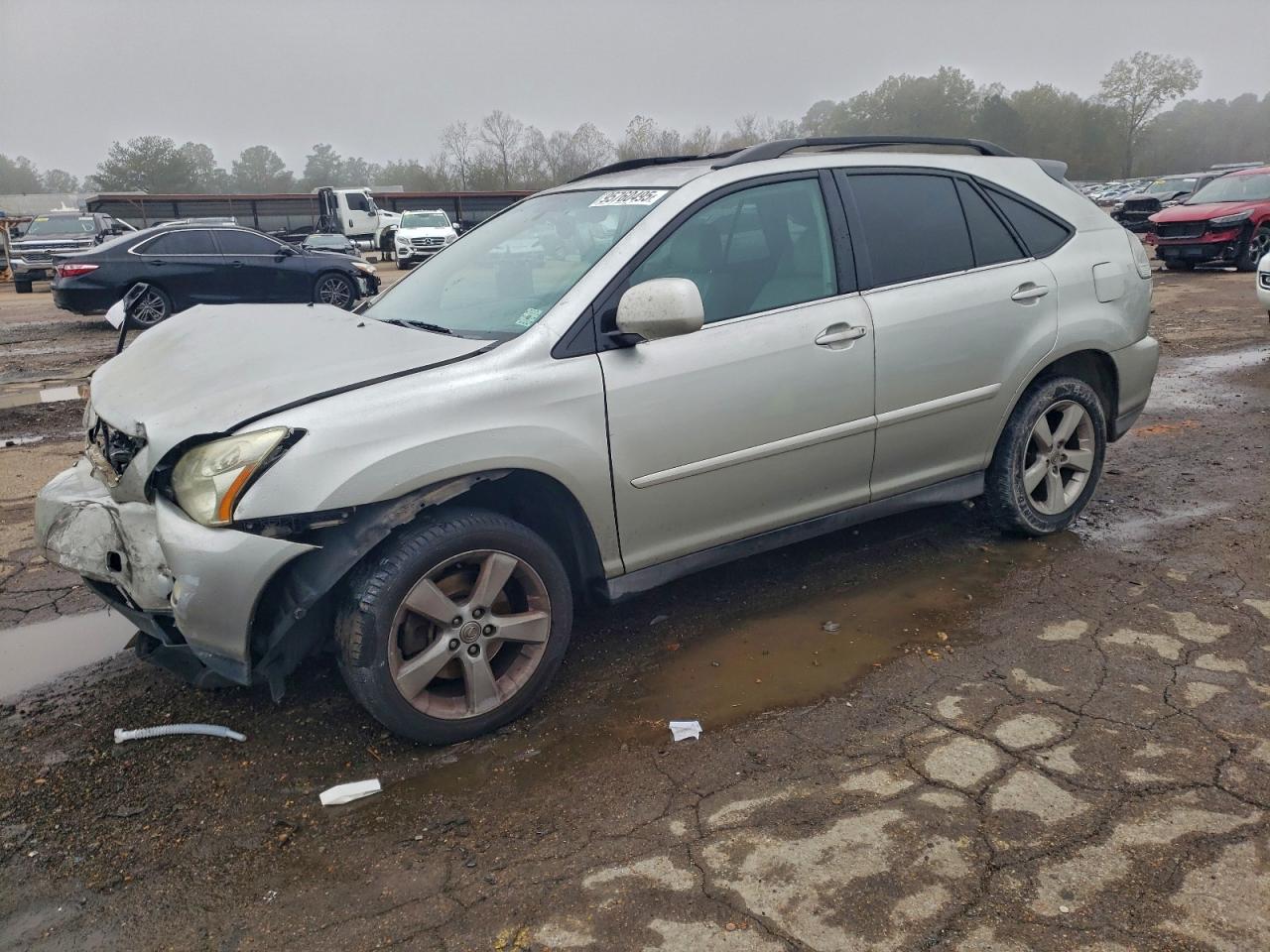 Lexus RX 330 Image 1