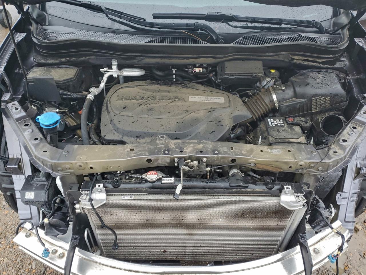 Honda Passport Exl Image 3