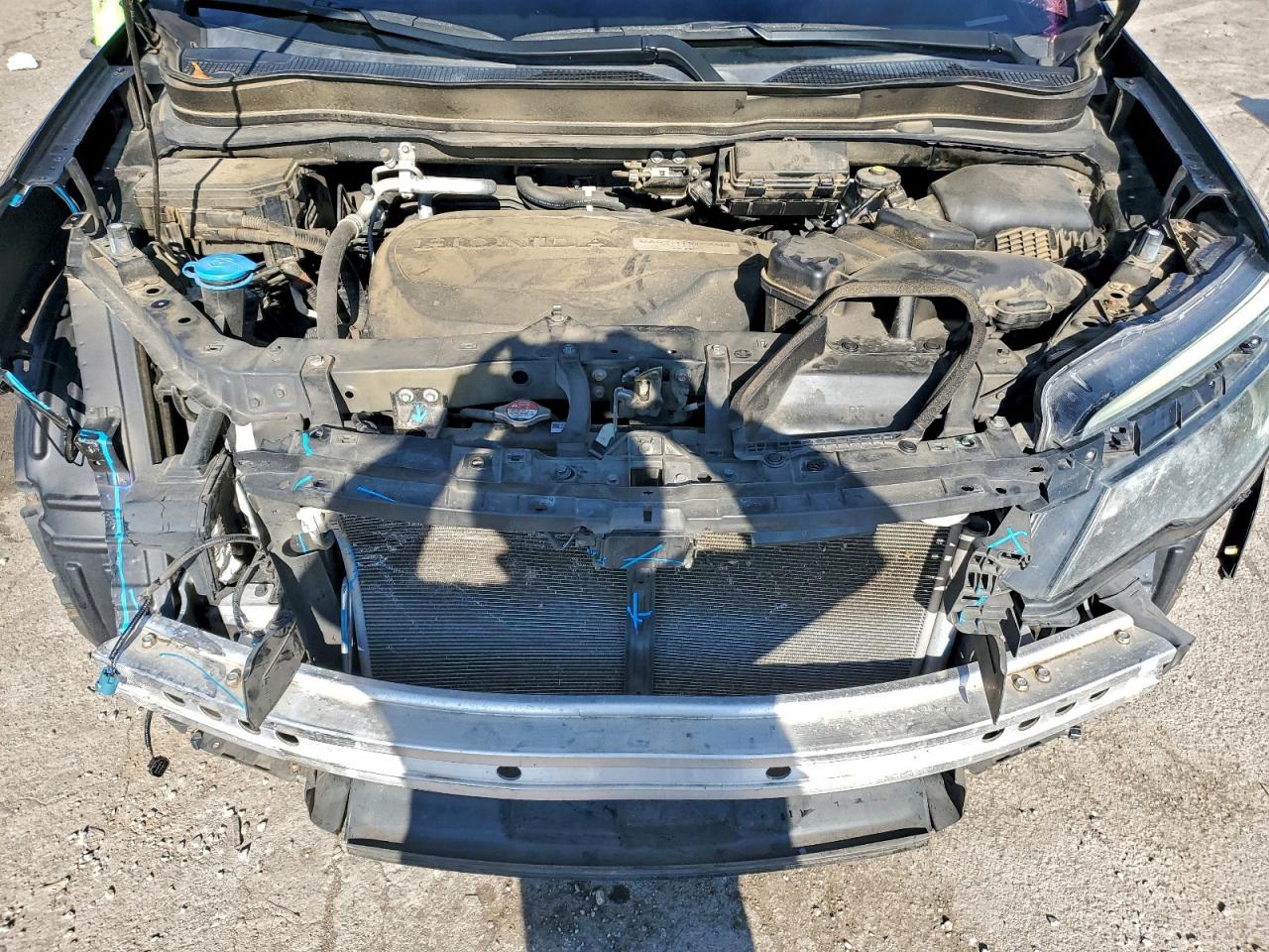 Honda Pilot Elite Image 9