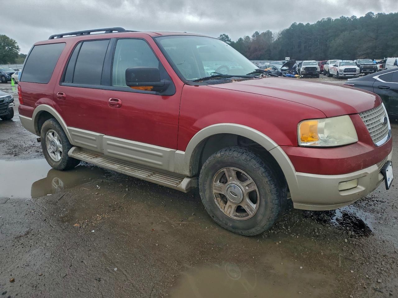 Ford Expedition Eddie Bauer Image 6