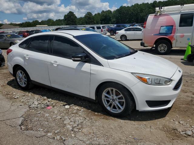 Ford Focus Se Image 11