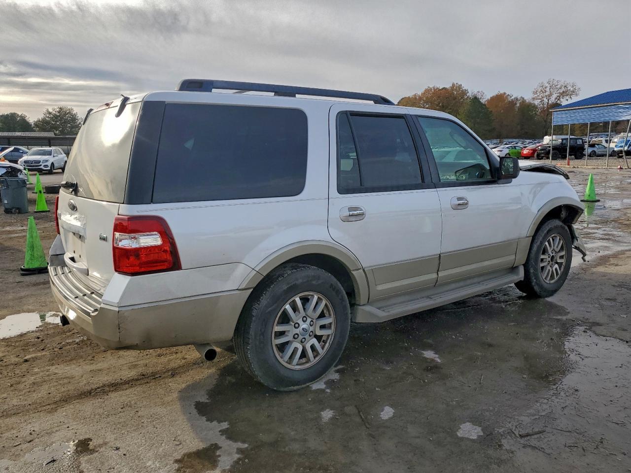 Ford Expedition Eddie Bauer Image 7