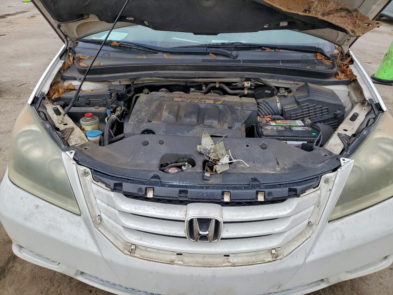 Honda Odyssey Exl Image 8