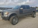 Ford F-150 Supercrew Image 1